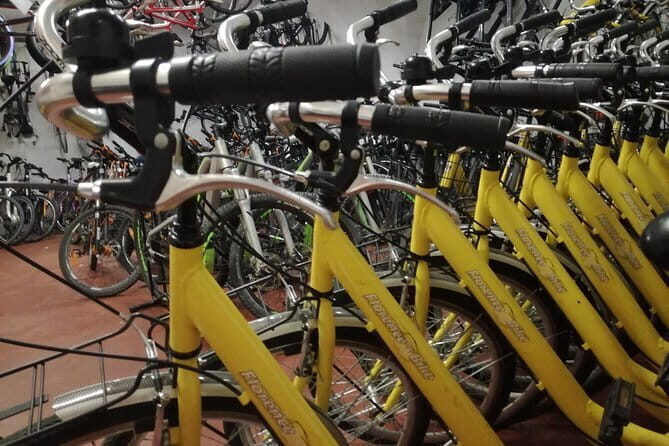 Florence treasures on a city bike - 1 day rental - - A practical sample loop: city center, Boboli Gardens, Arno