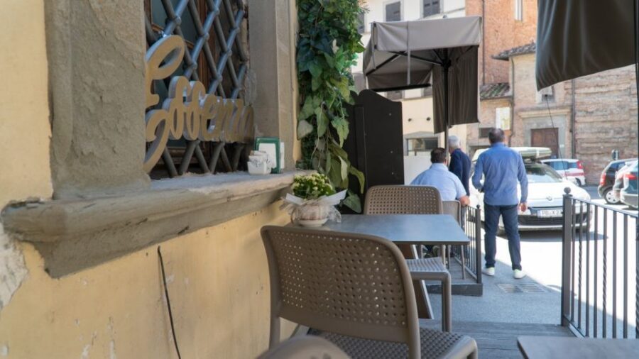 Florence: Truffle Hunting and Vinci with Lunch and Winery - A few smart expectations so the day feels easy