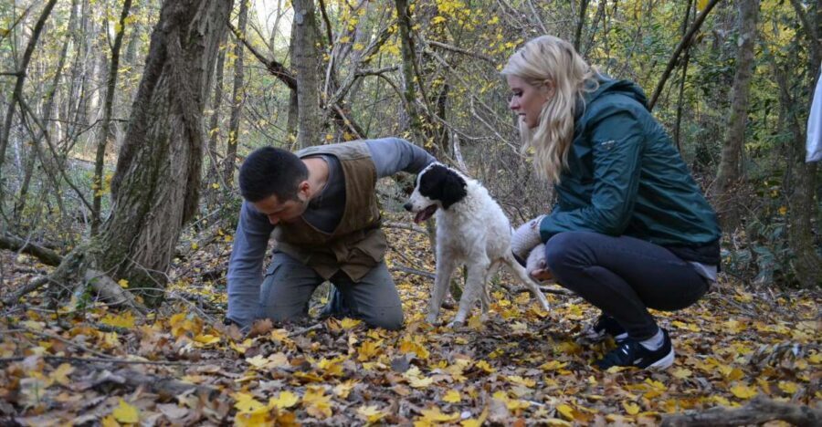 Florence: Truffle Hunting, Lunch, and Wine Tasting Tour - Truffle Hunting in the Woods: Watch the Dog, Follow the Handler