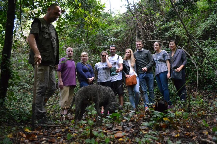 Florence: Truffle Hunting, Lunch, and Wine Tasting Tour - Price and Value: Is $353 Worth It?