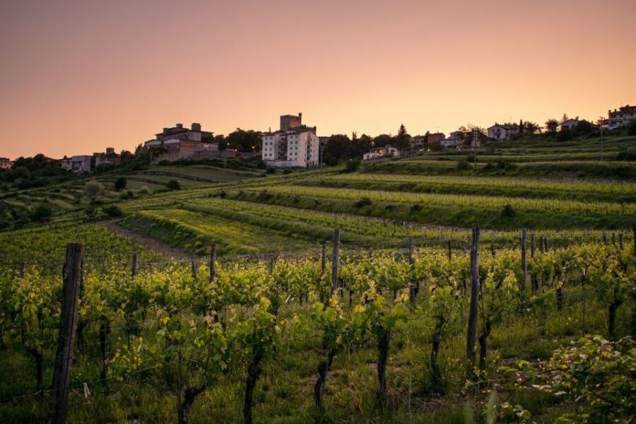 Florence: Tuscany Chianti Winery Private Day-Trip with Lunch - Key Points Worth Knowing