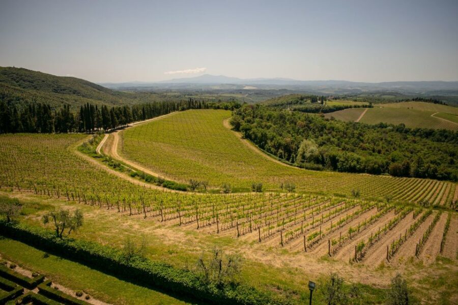 Florence: Tuscany Chianti Winery Private Day-Trip with Lunch - Olive Oil Lessons: How to Recognize Real Extra-Virgin