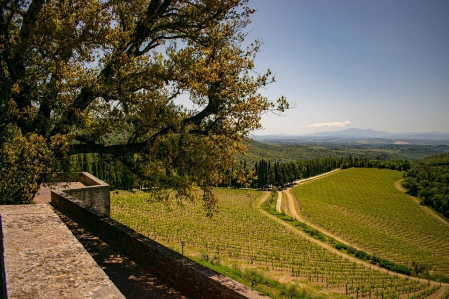 Florence: Tuscany Chianti Winery Private Day-Trip with Lunch - Timing, Group Size, and What the Pacing Feels Like