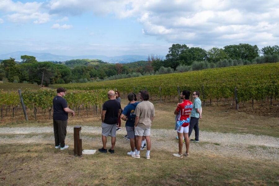 Florence: Tuscany Countryside Guided E-Bike Tour with Lunch - Chianti Classico at a Family Estate: Lunch, Oil, and Wine