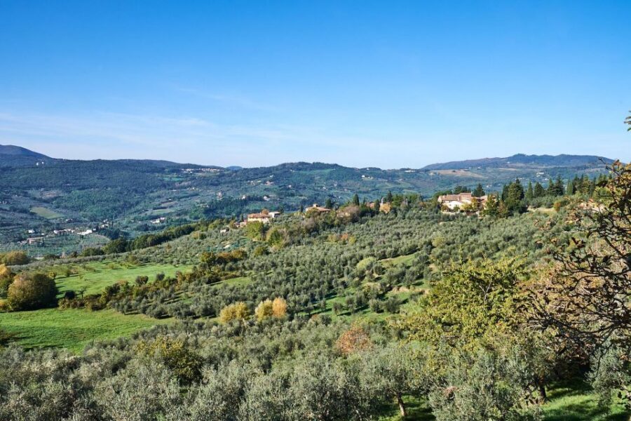 Florence: Vintage Fiat 500 Tour with Wine Tasting at Winery - Who this tour suits best (and who should skip it)