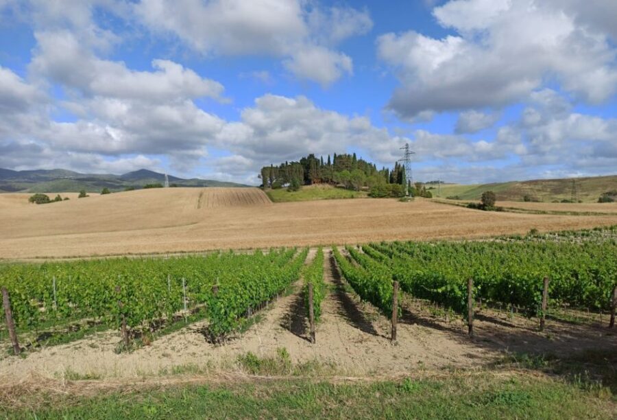 Florence: Volterra & San Gimignano Wine Tour with Lunch - How the day starts in Florence (and why it matters)