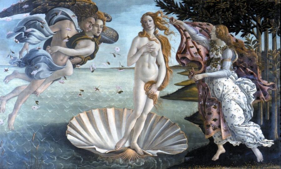 Florence: Walking Tour with Accademia & Uffizi Galleries - Small-group pace, languages, and guide delivery