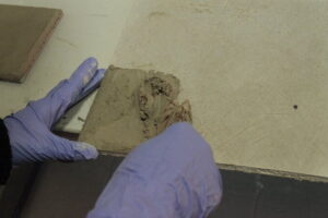 Fresco Painting Class in Florence - Fresco 101: What Wet Lime Plaster Does to Your Painting