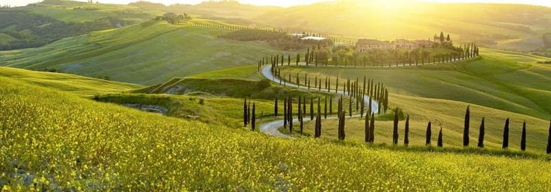 From Firenze | Chianti day tour in a classic car - Vintage-car Chianti: why this day trip works