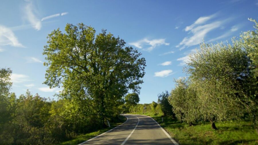 From Florence: Chianti, Montalcino & Montepulciano - Minivan - A ten-hour wine route from Florence: what you’re really buying