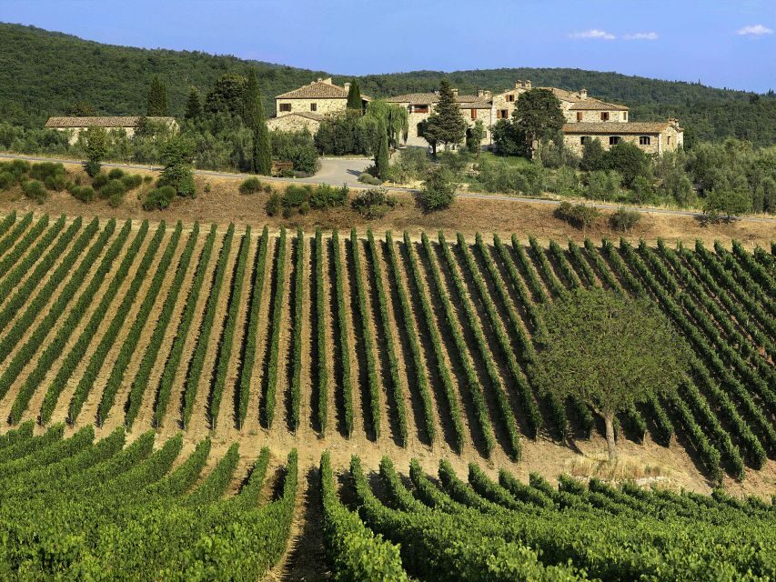 From Florence: Chianti, Montalcino & Montepulciano - Minivan - Price and logistics: is $328.53 actually fair?