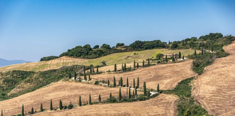 From Florence: Chianti, Montalcino & Montepulciano - Minivan - What to wear, what to bring, and how to pace your tasting