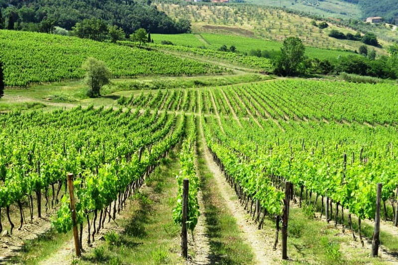 From Florence: Chianti Self-Guided Vespa Tour with Lunch - Borgo Ognissanti: what you handle before the first turn