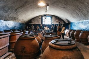 From Florence: Chianti Wine and Food Tasting Safari - First estate: historic villa cellars, olive mill tunnels, and the taste of Chianti’s basics