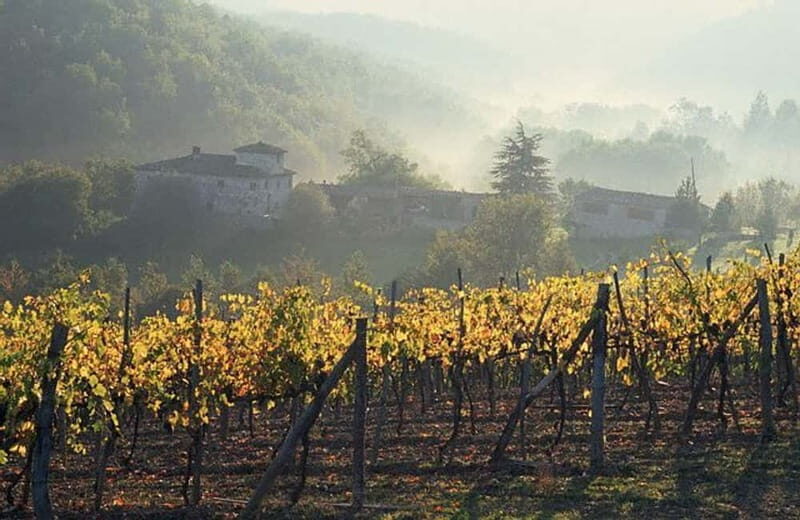 From Florence: Chianti Wine Tour with Driver-Guide - Key Points You’ll Actually Care About