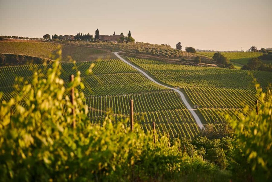 From Florence: Chianti Wine Tour with Driver-Guide - Lunch Plans in Chianti: Trattoria or Winery Cellar