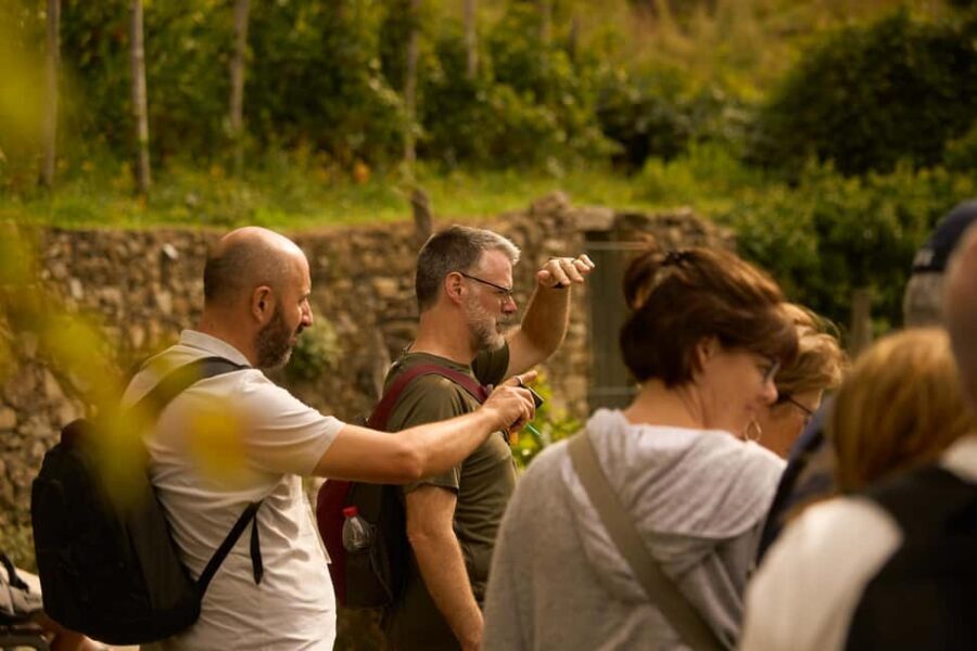 From Florence: Cinque Terre Day Trip with Local Guide - Manarola: where the views feel cinematic