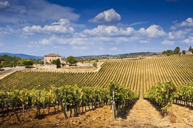 From Florence: Classic Chianti Villages and Wine Roads by Minivan - Greve in Chianti Estate: Vineyards, Cellars, and Seasonal Tastings