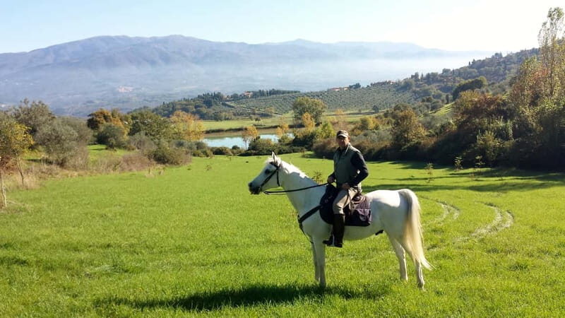 From Florence: Horse Ride and Wine Tour at Estate with Lunch - Who Should Book This Horse Ride and Chianti Lunch Day