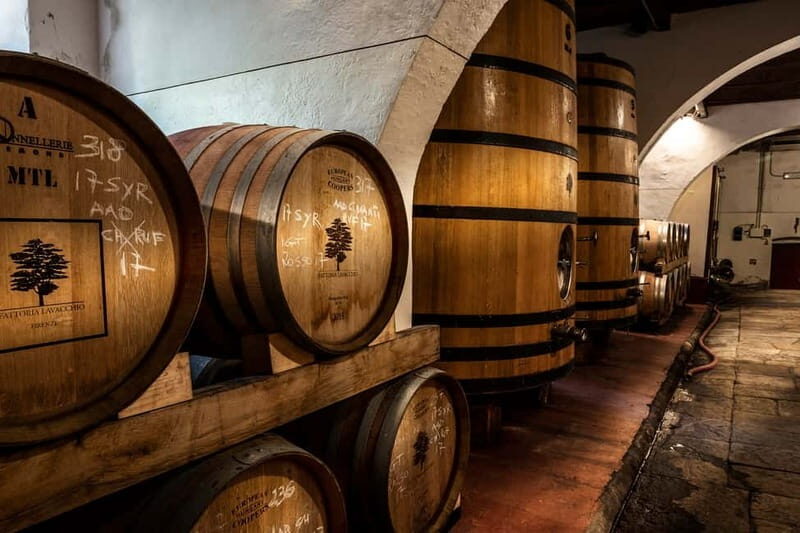 From Florence: Horse Ride and Wine Tour at Estate with Lunch - The 1.5-Hour Horse Ride: Quiet Horses Through Vineyards and Olive Groves