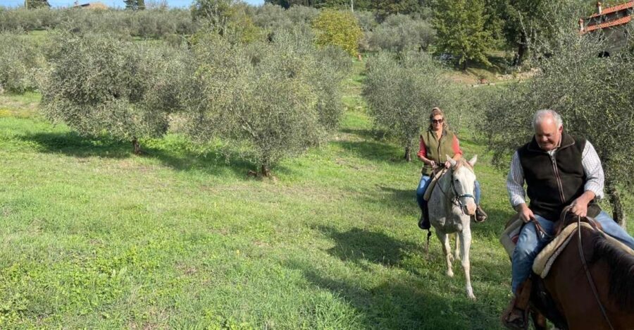 From Florence: Horseback Ride and Olive Oil and food tasting - Key things to love about this Florence-to-Tuscany outing