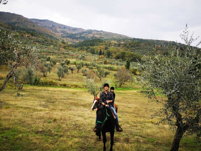 From Florence: Horseback Ride and Olive Oil and food tasting - How the day runs: from Florence to Chianti hills and back