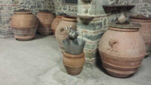 From Florence: Horseback Ride and Olive Oil and food tasting - Getting matched with your horse and staying comfortable