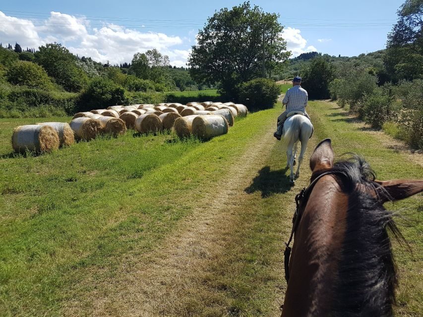 From Florence: Horseback Ride and Olive Oil and food tasting - The 1-hour trail ride: vineyards, olive groves, and real working scenery