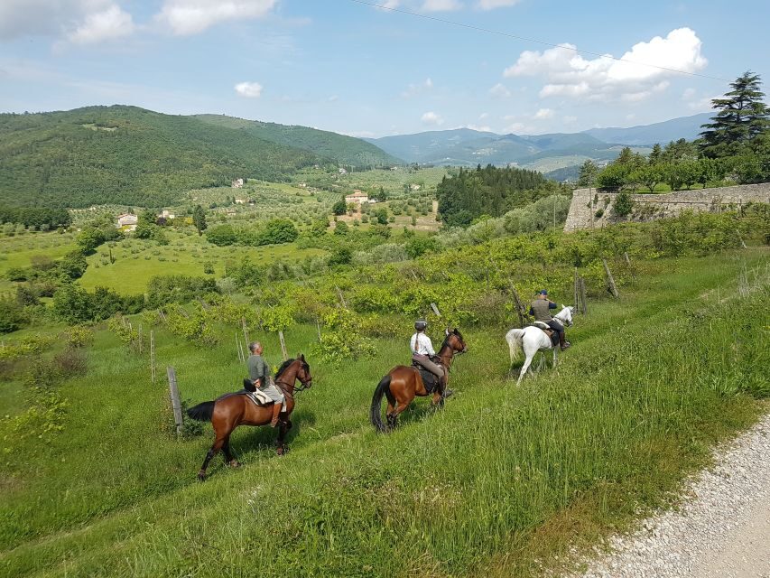 From Florence: Horseback Ride and Olive Oil and food tasting - Visiting the olive oil estate: tradition plus modern production