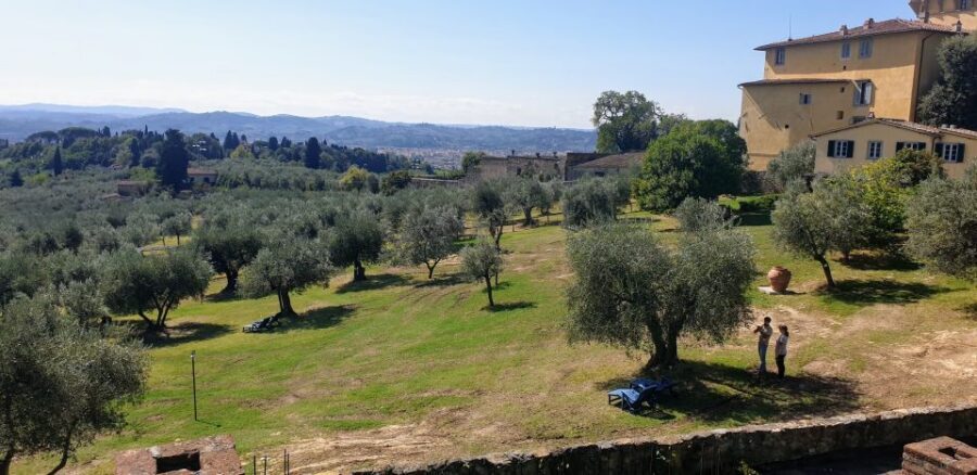 From Florence: Horseback Ride and Olive Oil and food tasting - Price and value: what you’re paying for at about $377