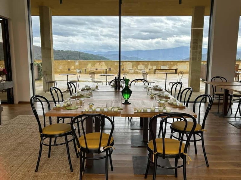 From Florence: Olive Oil Mill Tour and Tasting in Fiesole - Key highlights that matter most