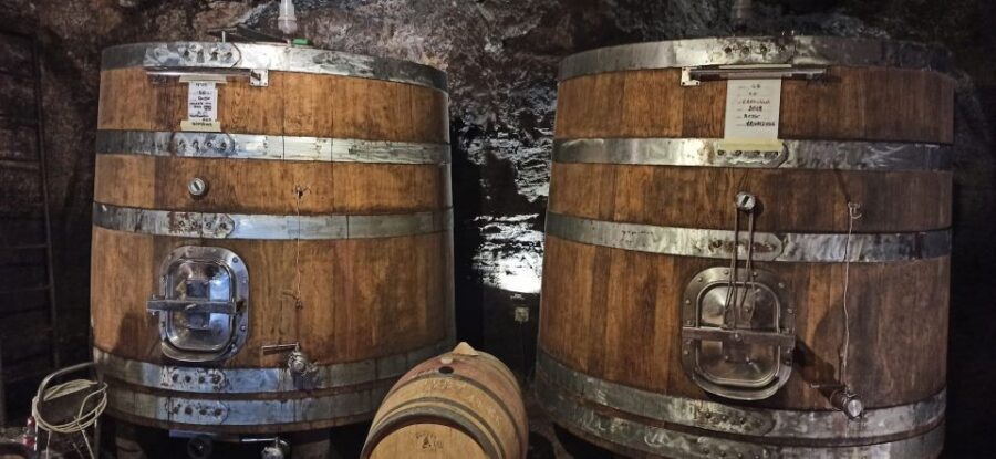 From Florence: Pisa/Chianti Half Day Tour with Wine Tasting - Meeting at Via del Curtatone: easy start, clear handoff
