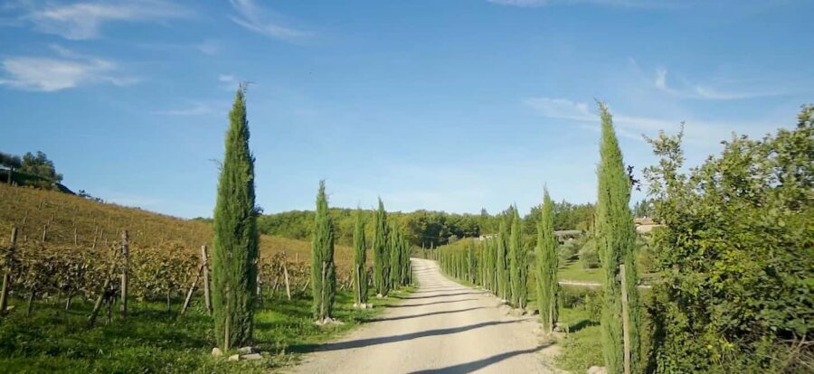 From Florence: Private Half-Day Chianti Tour & Wine Tasting - Key points to know before you go