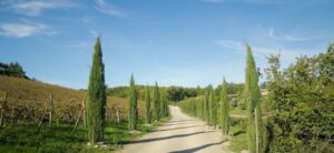 From Florence: Private Half-Day Chianti Tour & Wine Tasting - Florence pickup to Chianti: the countryside drive you can actually enjoy
