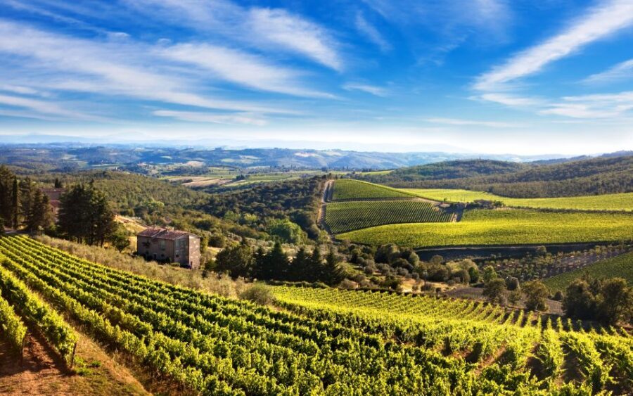 From Florence: Private Half-Day Chianti Tour & Wine Tasting - Greve in Chianti stop: crafts, Verrazzano connections, and church-area scenery