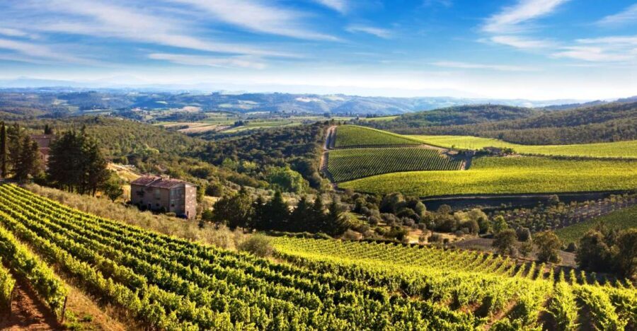 From Florence: Private Half-Day Chianti Tour & Wine Tasting - Who this tour suits best