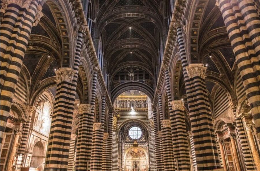 From Florence: Private Siena, San Gimignano + wine tasting - Wine tasting with a local guide: Vernaccia, wine-making lessons, and olive oil