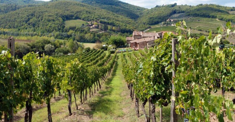 From Florence: Private Wine Tasting Tour in Chianti - Should you book this Private Wine Tasting Tour in Chianti?