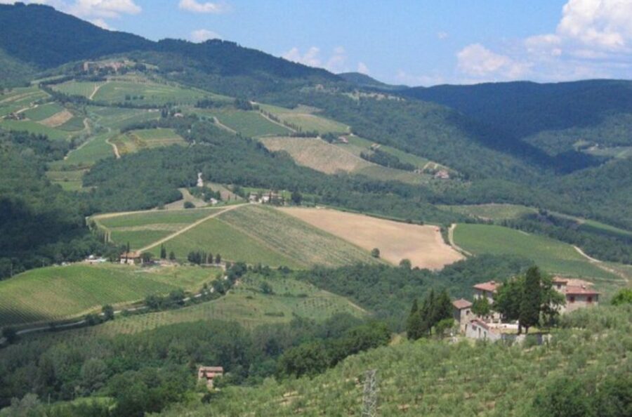 From Florence: Private Wine Tasting Tour in Chianti - Second winery lunch on the terrace: food and wine in the Chianti style