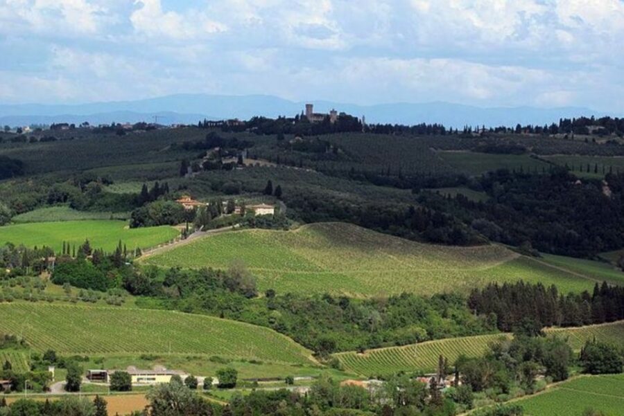From Florence: Private Wine Tasting Tour in Chianti - What you actually taste: Chianti, Vinsanto, Grappa, and olive oil