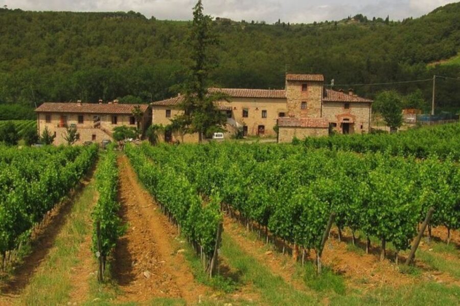 From Florence: Private Wine Tasting Tour in Chianti - Private tour value: what you’re paying for at $586.07 per person