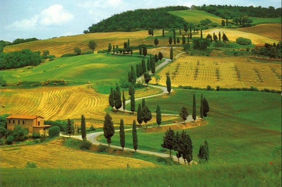 From Florence: Private Wine Tasting Tour in Chianti - Getting ready: what to bring and what to skip