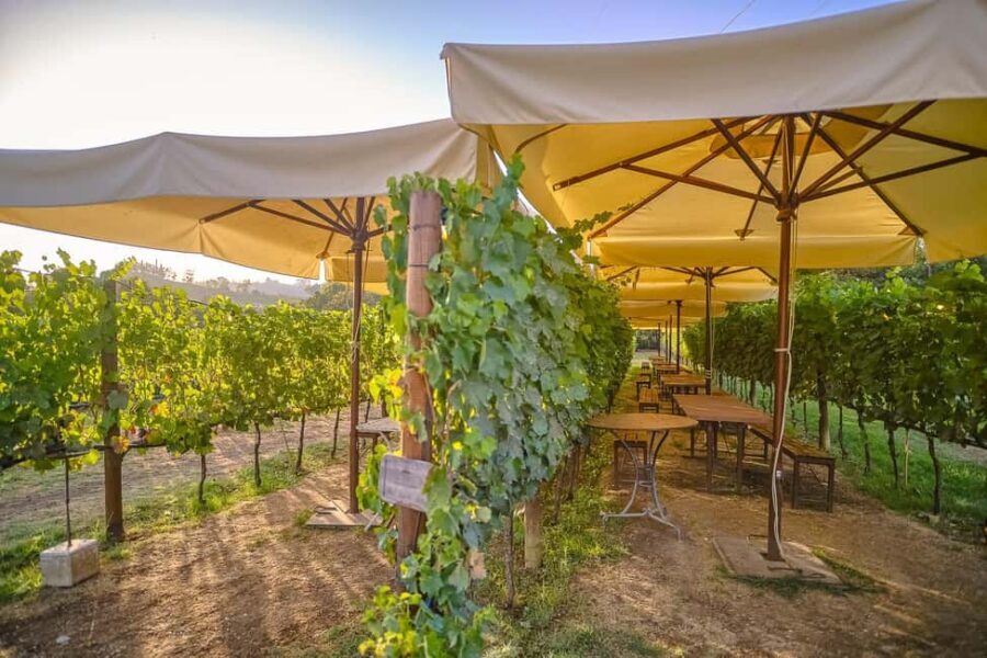 From Florence: Siena and Chianti Day Trip with Dinner - Should you book it?
