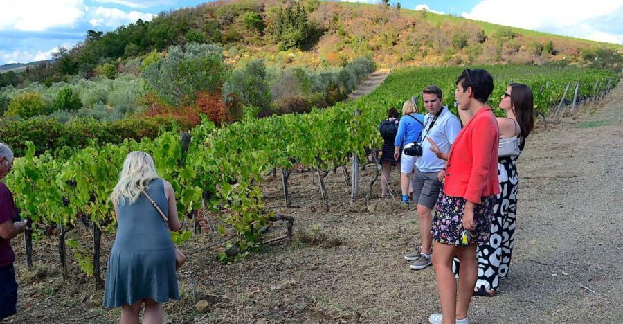 From Florence: Small-Group Chianti Wine Tour 2024 - Key Points You’ll Care About