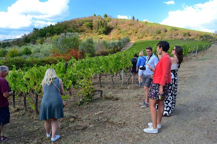 From Florence: Small-Group Chianti Wine Tour 2024 - Winery Stop 1: Cellars, Explanations, and the Best Way to Learn Chianti Fast