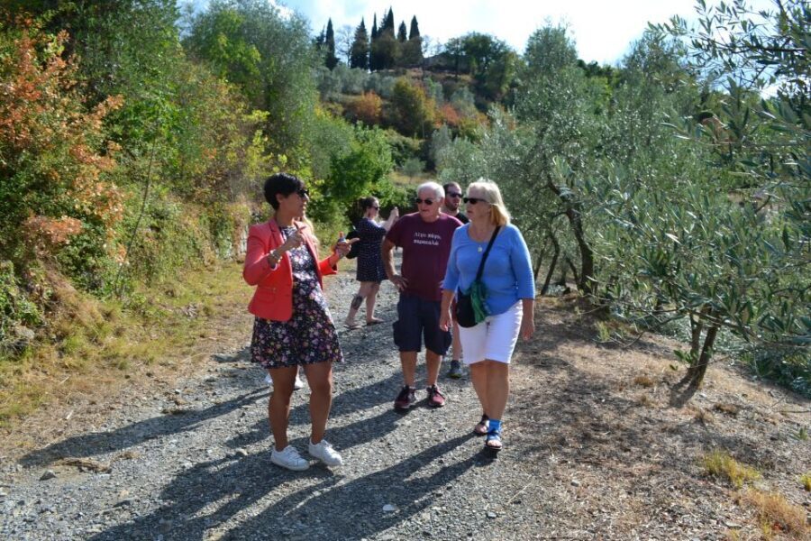 From Florence: Small-Group Chianti Wine Tour 2024 - Lunch at the Second Winery (About 1.5 Hours): A Real Reset in Wine Country