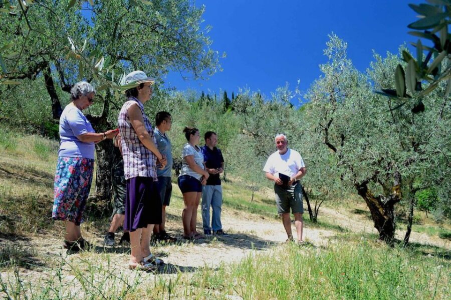 From Florence: Small-Group Chianti Wine Tour 2024 - The Return to Florence: Tuscan Views and a Gentle Wind-Down