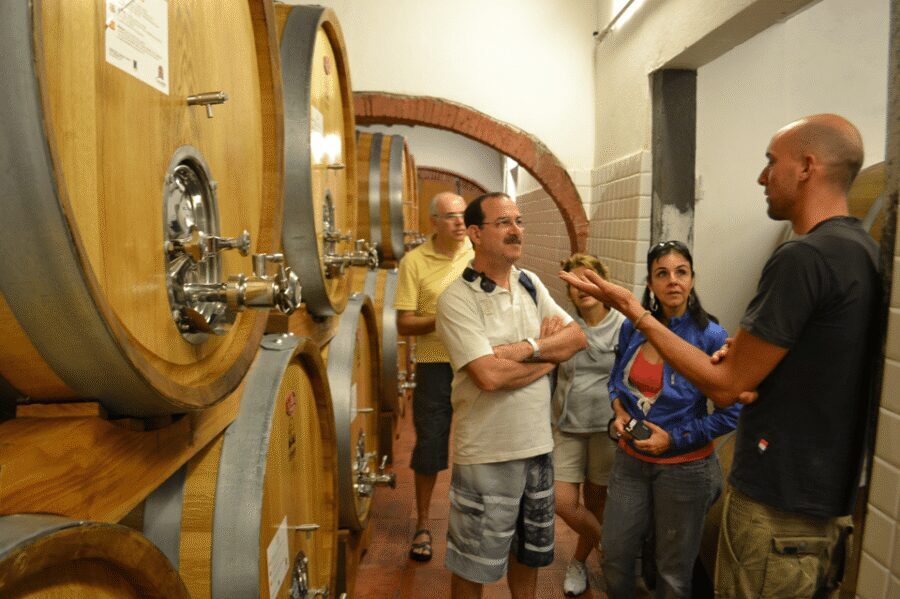 From Florence: Small-Group Chianti Wine Tour 2024 - Price and Value: Why $283.21 Can Make Sense for a 6.5-Hour Chianti Day