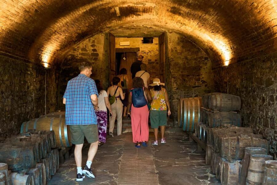From Florence: Small Group Chianti Wine Tour with Lunch - Key Things I’d Pay Attention To