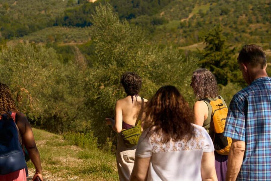 From Florence: Small Group Chianti Wine Tour with Lunch - Chianti Classico lesson: make the bottle labels click